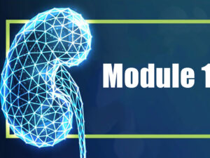 Screen Shot 2021-09-24 at 3.32.37 PM